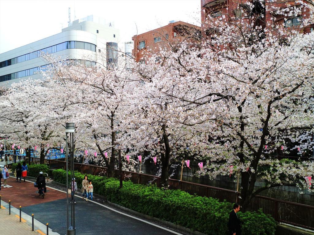 Coto Tokyo Shibuya 2 Διαμέρισμα Εξωτερικό φωτογραφία
